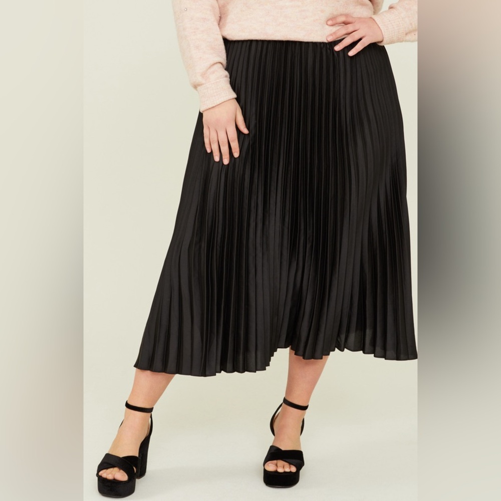NWT Arula Pleated Maxi Skirt